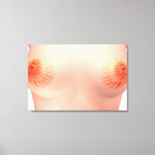 Conceptual Image of Female Breast Anatomie 7 Leinwanddruck