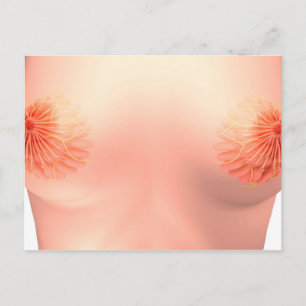 Conceptual Image of Female Breast Anatomie 7 Postkarte