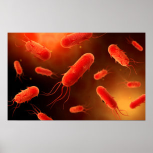 Conceptual Image of Flagellat Bacterium 1 Poster