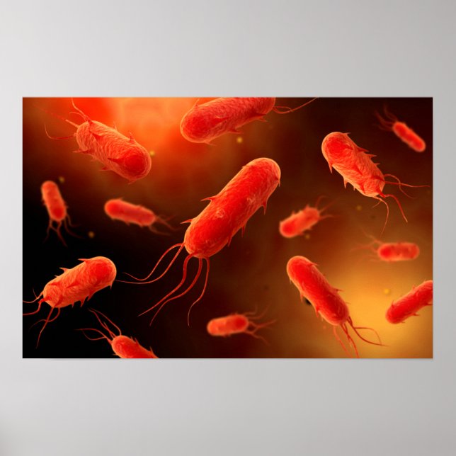 Conceptual Image of Flagellat Bacterium 1 Poster (Vorne)
