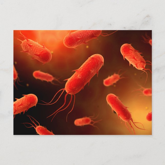 Conceptual Image of Flagellat Bacterium 1 Postkarte (Vorderseite)
