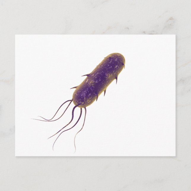 Conceptual Image of Flagellate Bacterium 2 Postkarte (Vorderseite)