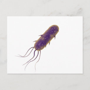 Conceptual Image of Flagellate Bacterium 2 Postkarte