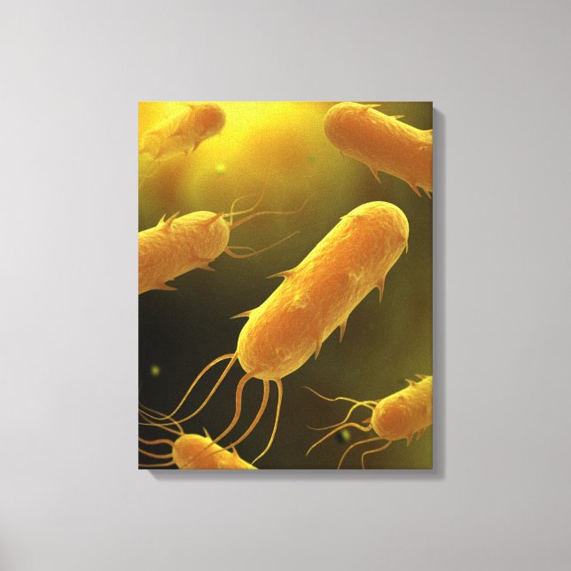 Conceptual Image of Flagellate Bacterium 3 Leinwanddruck (Vorderseite)