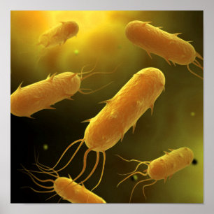 Conceptual Image of Flagellate Bacterium 3 Poster