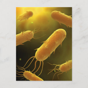 Conceptual Image of Flagellate Bacterium 3 Postkarte
