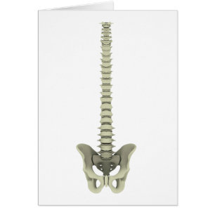 Conceptual Image of Human Backbone 1