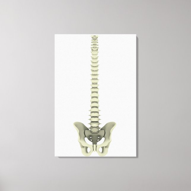 Conceptual Image of Human Backbone 1 Leinwanddruck (Vorderseite)