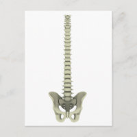 Conceptual Image of Human Backbone 1