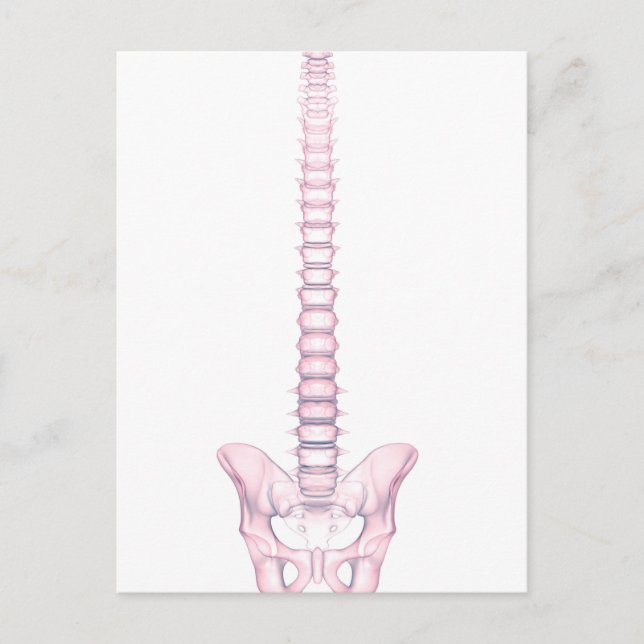 Conceptual Image of Human Backbone 2 Postkarte (Vorderseite)