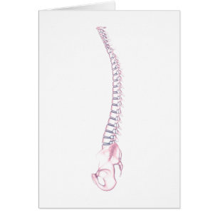 Conceptual Image of Human Backbone 3