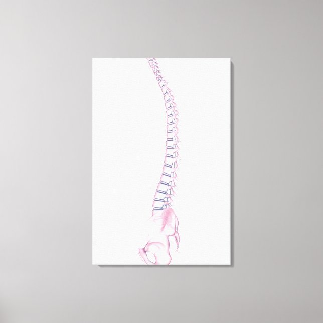 Conceptual Image of Human Backbone 3 Leinwanddruck (Vorderseite)
