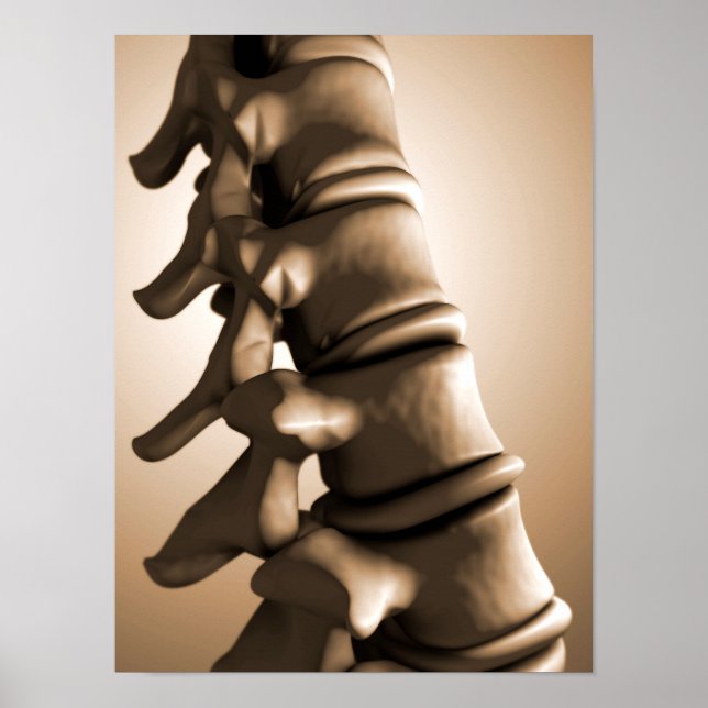 Conceptual Image of Human Backbone 4 Poster (Vorne)