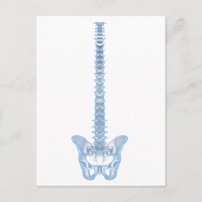 Conceptual Image of Human Backbone 6 Postkarte (Vorderseite)
