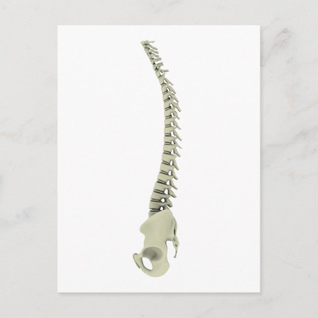 Conceptual Image of Human Backbone 7 Postkarte (Vorderseite)