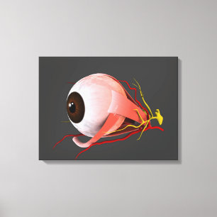 Conceptual Image of Human Eye Anatomy 5 Leinwanddruck