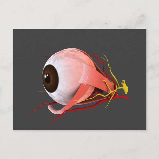 Conceptual Image of Human Eye Anatomy 5 Postkarte (Vorderseite)