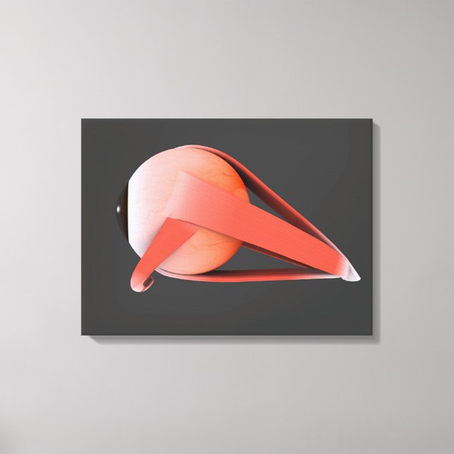 Conceptual Image of Human Eye Anatomy 7 Leinwanddruck (Vorderseite)