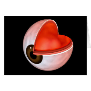 Conceptual Image of Human Eye Anatomy 8