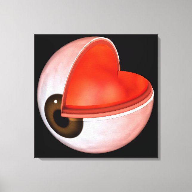 Conceptual Image of Human Eye Anatomy 8 Leinwanddruck (Vorderseite)