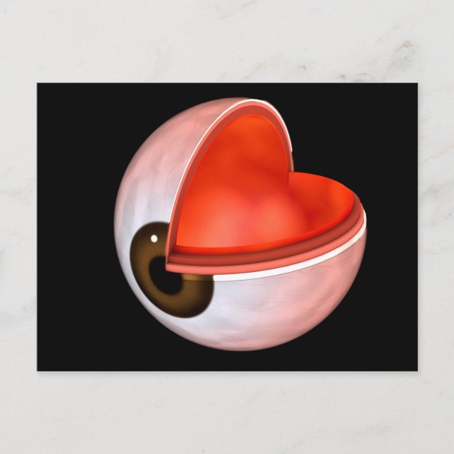 Conceptual Image of Human Eye Anatomy 8 Postkarte (Vorderseite)