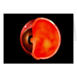 Conceptual Image of human Eye Cross Abschnitt 1