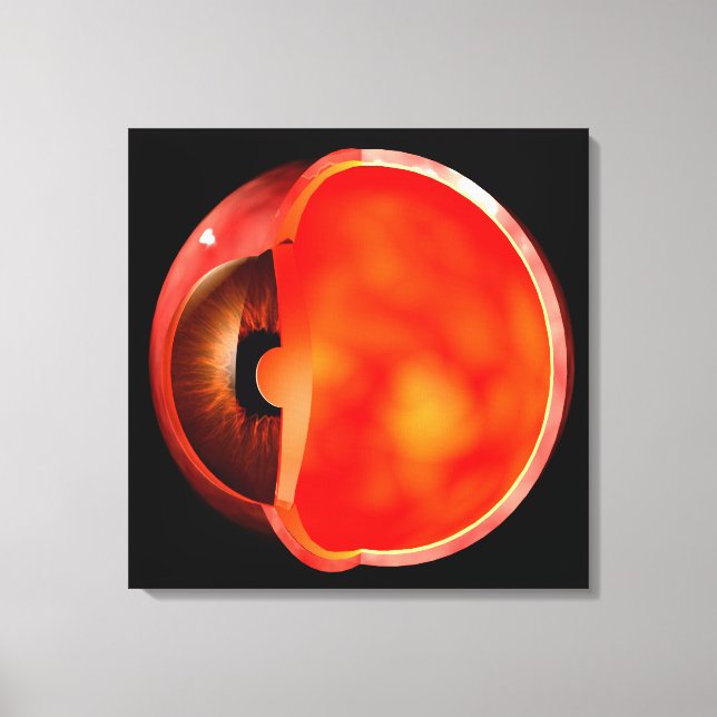Conceptual Image of human Eye Cross Abschnitt 1 Leinwanddruck (Vorderseite)