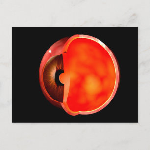 Conceptual Image of human Eye Cross Abschnitt 1 Postkarte