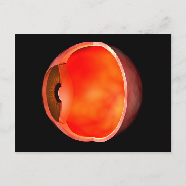 Conceptual Image of human Eye Cross Abschnitt 2 Postkarte (Vorderseite)