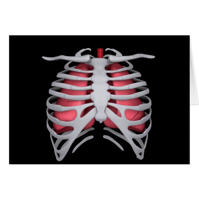 Conceptual Image of Human Lungs and Rib Cage 1 (Vorderseite (Horizontal))