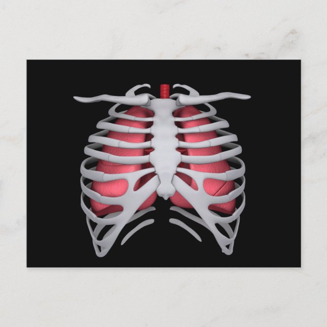 Conceptual Image of Human Lungs and Rib Cage 1 Postkarte (Vorderseite)