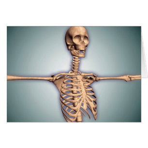 Conceptual Image of Human Rib Cage and Spinal