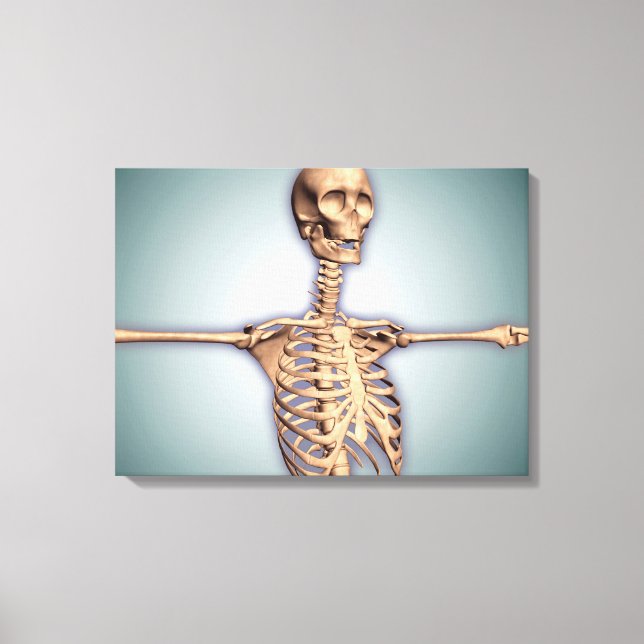 Conceptual Image of Human Rib Cage and Spinal Leinwanddruck (Vorderseite)