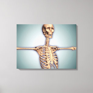 Conceptual Image of Human Rib Cage and Spinal Leinwanddruck