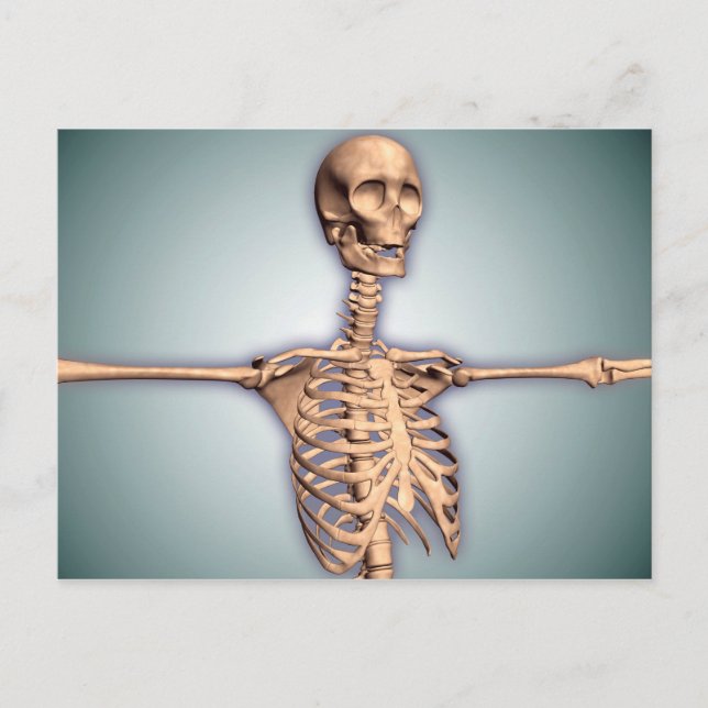 Conceptual Image of Human Rib Cage and Spinal Postkarte (Vorderseite)