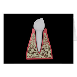 Conceptual Image of Human Tooth 1