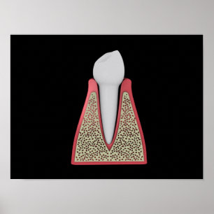 Conceptual Image of Human Tooth 1 Poster