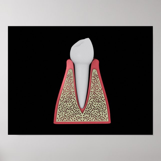 Conceptual Image of Human Tooth 1 Poster (Vorne)