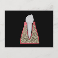 Conceptual Image of Human Tooth 1