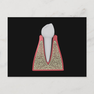 Conceptual Image of Human Tooth 1 Postkarte