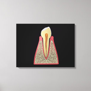 Conceptual Image of Human Tooth 2 Leinwanddruck