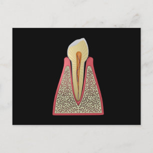 Conceptual Image of Human Tooth 2 Postkarte