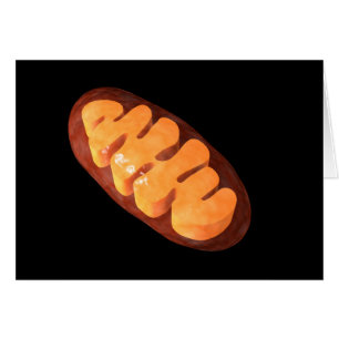 Conceptual Image of Mitochondria 1