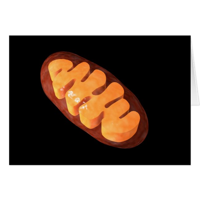 Conceptual Image of Mitochondria 1 (Vorderseite (Horizontal))