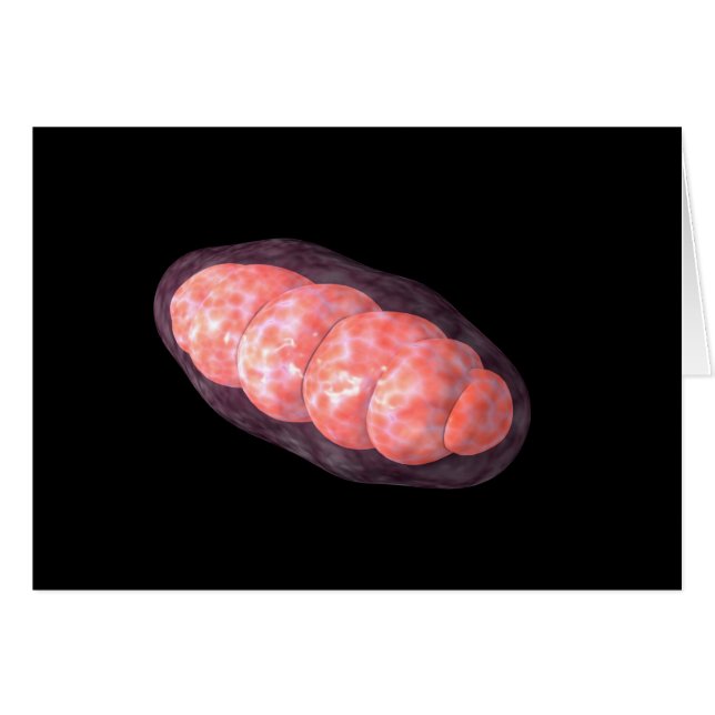 Conceptual Image of Mitochondria 2 (Vorderseite (Horizontal))