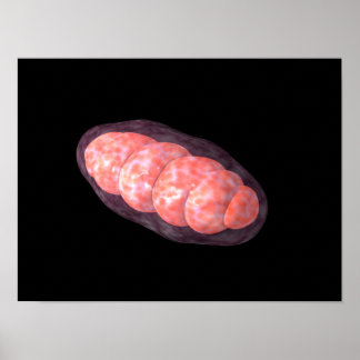Conceptual Image of Mitochondria 2 Poster