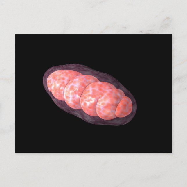 Conceptual Image of Mitochondria 2 Postkarte (Vorderseite)