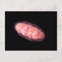 Conceptual Image of Mitochondria 2