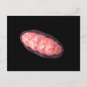 Conceptual Image of Mitochondria 2 Postkarte