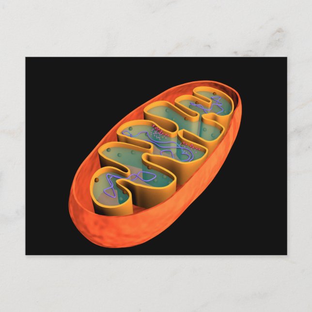 Conceptual Image of Mitochondria 3 Postkarte (Vorderseite)